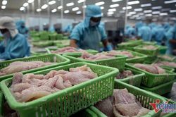 Lào bất ngờ 'ăn hàng', xuất khẩu cá tra tăng 2.214%