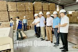 1 tỷ đồng hỗ trợ sản xuất gỗ ván sàn xuất khẩu