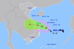Áp thấp nhiệt đới cách Đà Nẵng - Quảng Nam 310km, miền Trung mưa xối xả