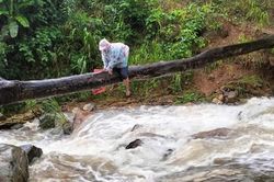 Thót tim cảnh cô giáo vùng cao bám thân cây vượt suối đi dạy học