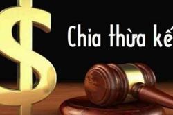 Con không có tên trong di chúc có được hưởng thừa kế của bố mẹ?