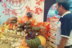 TPHCM: Bí ngô tiền triệu cho Halloween hút khách
