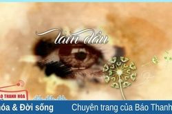 Truyện ngắn 'Làm dâu' của Phạm Thị Hương