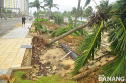 Triều cường, sóng biển lớn gây sạt lở bờ biển phía đông thành phố