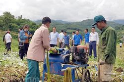 Phát triển hợp tác xã gắn với thế mạnh địa phương