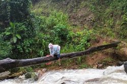 Quảng Nam: Thót tim cô giáo vùng cao bám cây vượt suối chảy xiết
