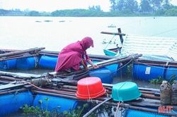 Chủ động ứng phó bão Nesat giật cấp 15