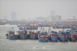Ba kịch bản của bão số 6, theo dõi chặt chẽ diễn biến để chủ động ứng phó