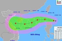 Bão số 6 (NESAT) giật cấp 14, diễn biến rất phức tạp