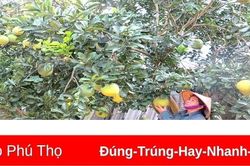 Khẳng định vai trò, vị thế của phụ nữ trong gia đình và xã hội