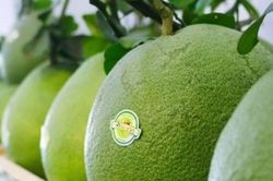 Tin tức tiêu dùng nổi bật 24 giờ