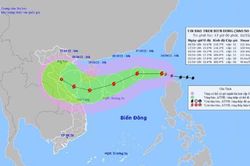 Khẩn trương triển khai các biện pháp sẵn sàng ứng phó với bão số 6