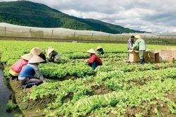 Đóng góp tích cực cho Phong trào xây dựng Nông thôn mới