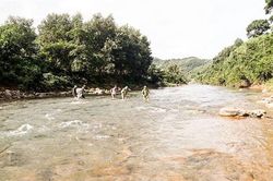 Tăng cường phối hợp trong quản lý, bảo vệ rừng