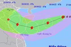 Bão Nesat có thể đạt cường độ cực đại cấp 12-13 trong hôm nay
