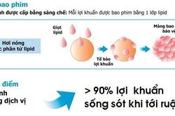 Công nghệ bao phim lợi khuẩn - giải pháp cho hệ tiêu hóa của trẻ