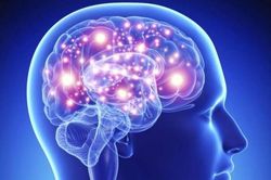 Kinh ngạc 10 bí ẩn trên cơ thể người có thể bạn chưa biết