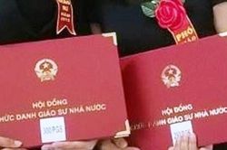 Gần 100 ứng viên bị loại khỏi danh sách xét giáo sư, phó giáo sư năm 2022