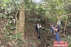 Giữ rừng trên dãy núi Pu Sâng