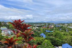 Mắc cỡ