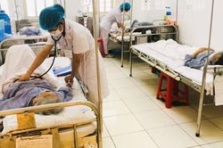 Hải Phòng: Sốt xuất huyết chưa có dấu hiệu giảm