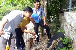 Một học sinh mầm non ở Quảng Bình tử vong do sốt xuất huyết