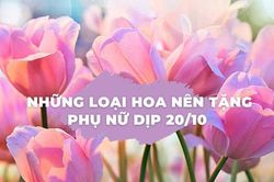 Ngày 20/10 nên tặng hoa gì cho chị em phụ nữ?