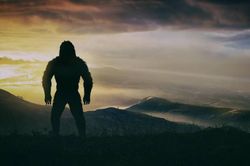 Tuyên bố chấn động: Quái vật bí ẩn Bigfoot và Yeti là một?