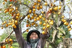 Ngắm những nụ cười tỏa nắng của phụ nữ nông dân Nghệ An