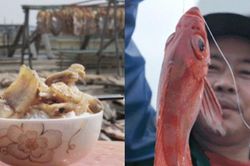Khô cá Trạm Giang - thức quà bắt buộc trên bàn tiệc và tiếng gọi hồi hương của người xa xứ