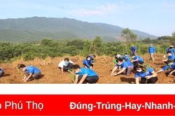 Chung tay bảo vệ môi trường