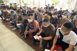 Hỗ trợ nhiều lao động Việt kêu cứu ở châu Phi