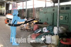 Ghi nhận trên 900 ca mắc sốt xuất huyết