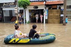 Người dân TP.Vũng Tàu chèo xuồng, giăng lưới bắt cá trên phố