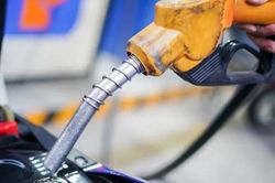 Một doanh nghiệp đầu mối xăng dầu nợ thuế hơn 684 tỷ đồng