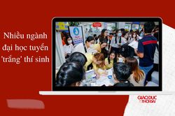 Nhiều ngành đại học tuyển 'trắng' thí sinh