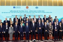 Diễn đàn kinh tế cao cấp Việt Nam-OECD năm 2022: Vì mục tiêu phát triển bền vững