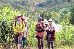 Đề xuất giải pháp chấm dứt tình trạng di cư tự do