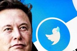 Elon Musk tính sa thải 75% nhân viên Twitter?