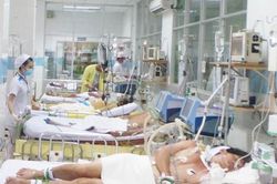 TPHCM: 29 người chết vì sốt xuất huyết, 113 ổ dịch trong cộng đồng