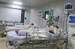 TP Hồ Chí Minh: 29 trường hợp tử vong do sốt xuất huyết
