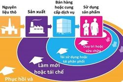 Ứng dụng kinh tế tuần hoàn trong một số lĩnh vực
