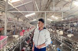 Làm giàu từ mô hình nuôi chim bồ câu lai Pháp
