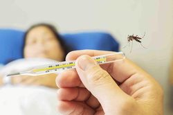 Khi nào người mắc sốt xuất huyết cần nhập viện?