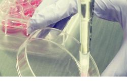 Thử nghiệm liệu pháp gene chữa bệnh Parkinson