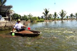 Nông dân Phạm Văn Dưỡng năng động, sáng tạo