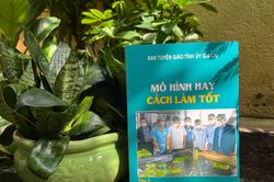 'Cẩm nang' về điển hình tiên tiến ở Gia Lai