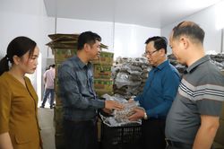 Phó Chủ tịch Thường trực UBND tỉnh Hoàng Quốc Khánh dự lễ phát động phong trào sản xuất chuối tại Bát Xát