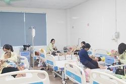 Nỗi lo với chủng cúm độc lực cao