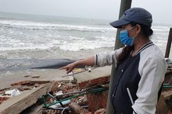 Quảng Nam, Quảng Ngãi: Sạt lở bờ biển đe dọa cuộc sống người dân